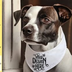 dog bandana mockup vol-6