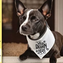 dog bandana mockup vol-7
