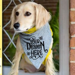 dog bandana mockup vol-9