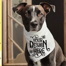 dog bandana mockup vol-10