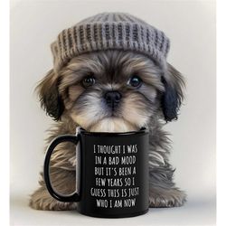 thought i was in a bad mood sarcastic coffee mug, funny offensive rude coffee mug, great holiday gift for friends family