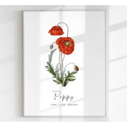 august birth flower poppy birth print nursery print