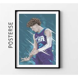 lamello ball poster charlotte hornets canvas basketball poster