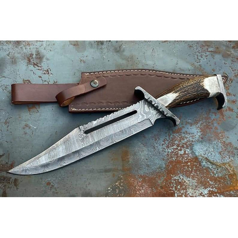 download - 2024-01-17T203801.234.jpg