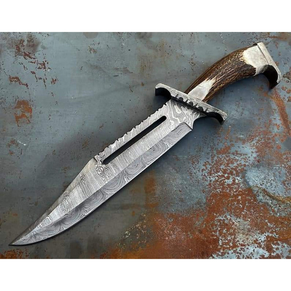 download - 2024-01-17T203802.936.jpg