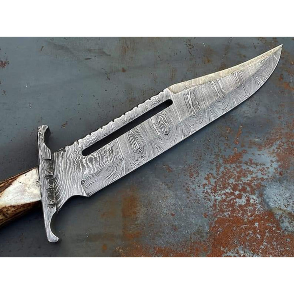 download - 2024-01-17T203820.493.jpg