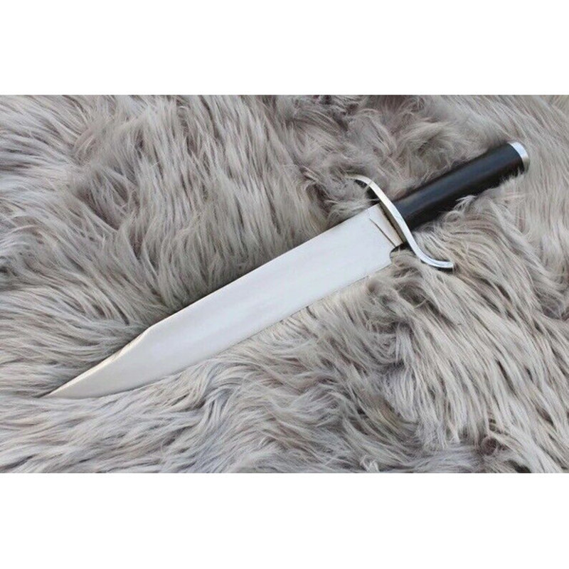 download - 2024-01-17T211030.414.jpg