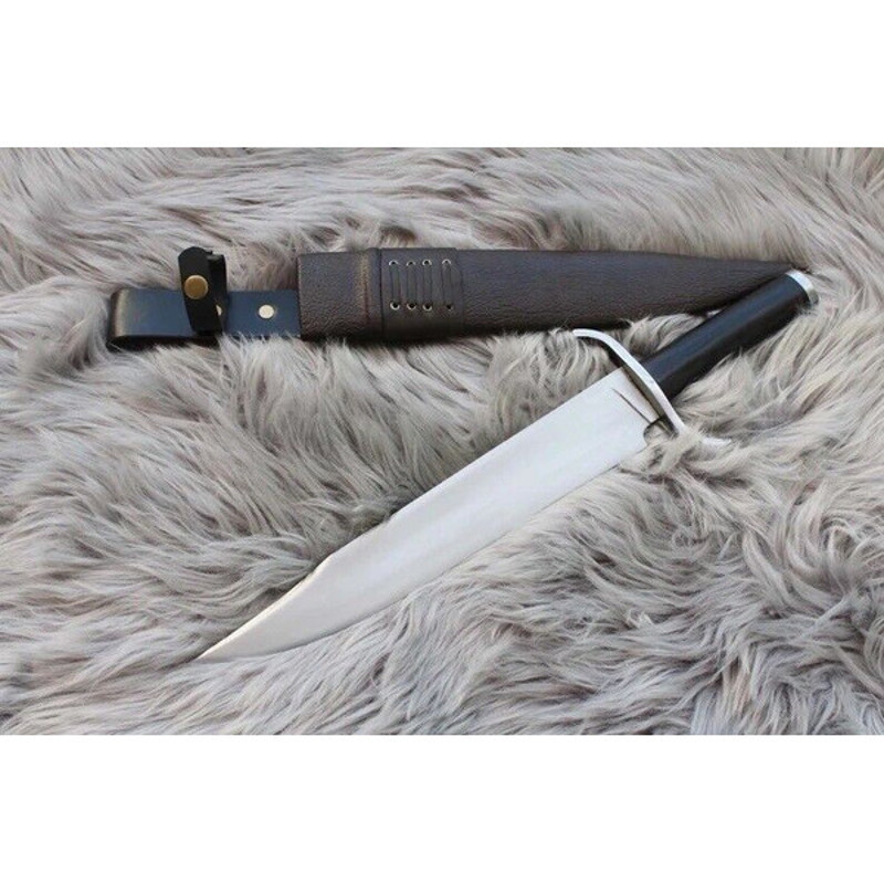 download - 2024-01-17T211033.033.jpg