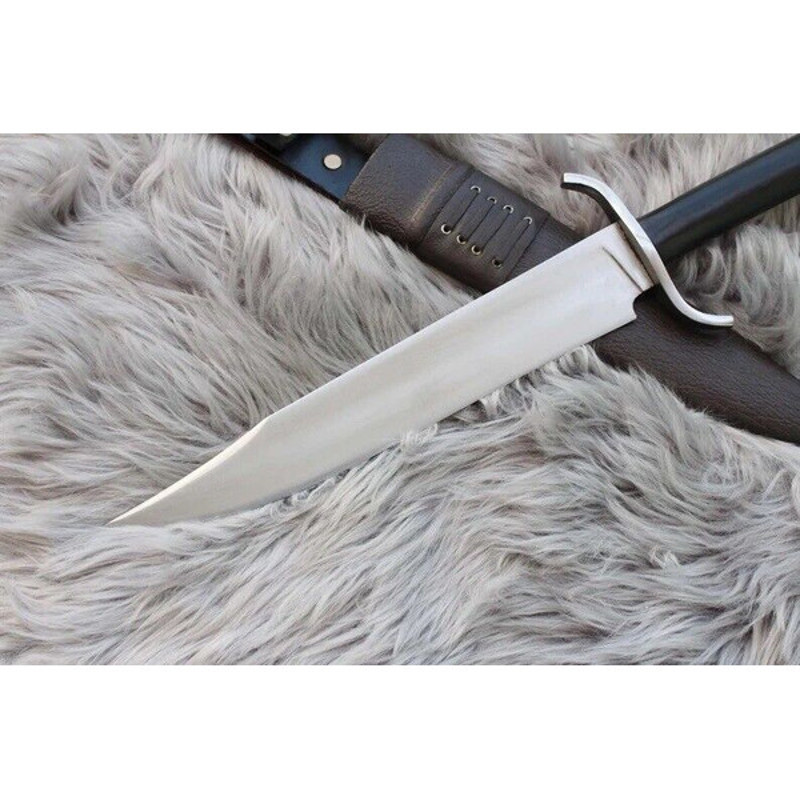 download - 2024-01-17T211039.218.jpg