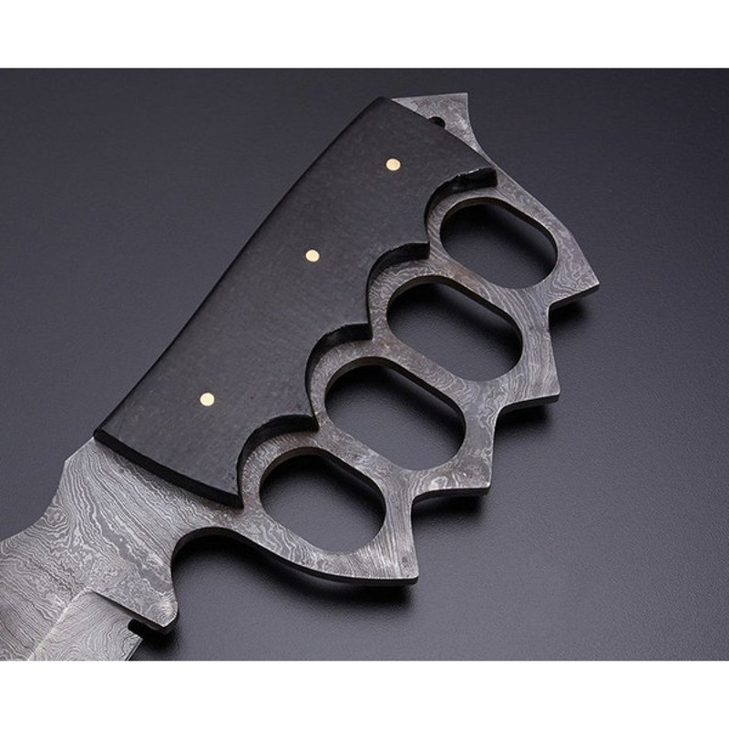 download - 2024-01-17T211728.435.jpg