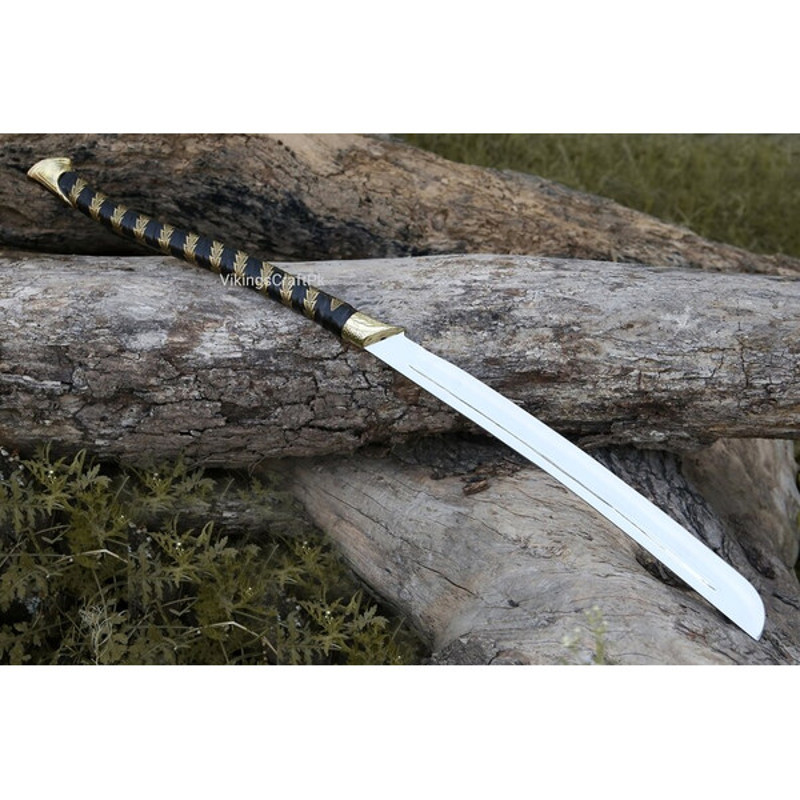 download - 2024-01-24T204645.822.jpg