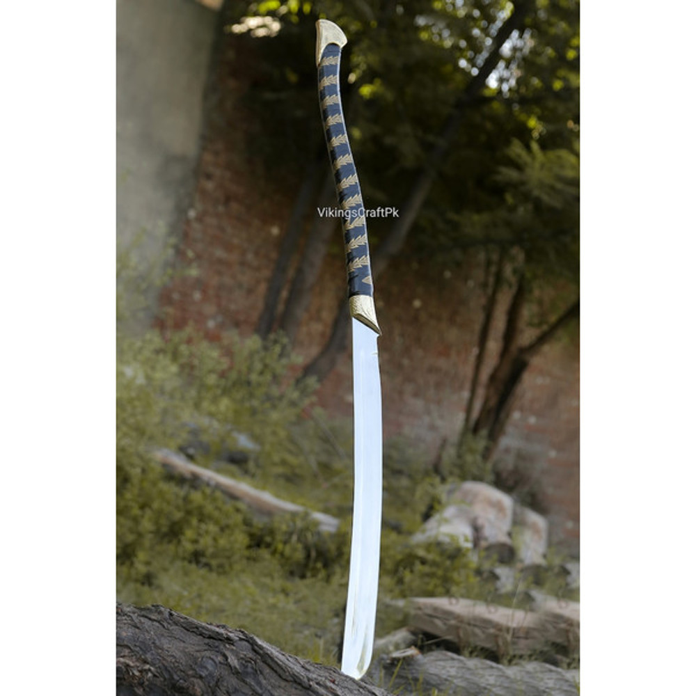 download - 2024-01-24T204647.474.jpg