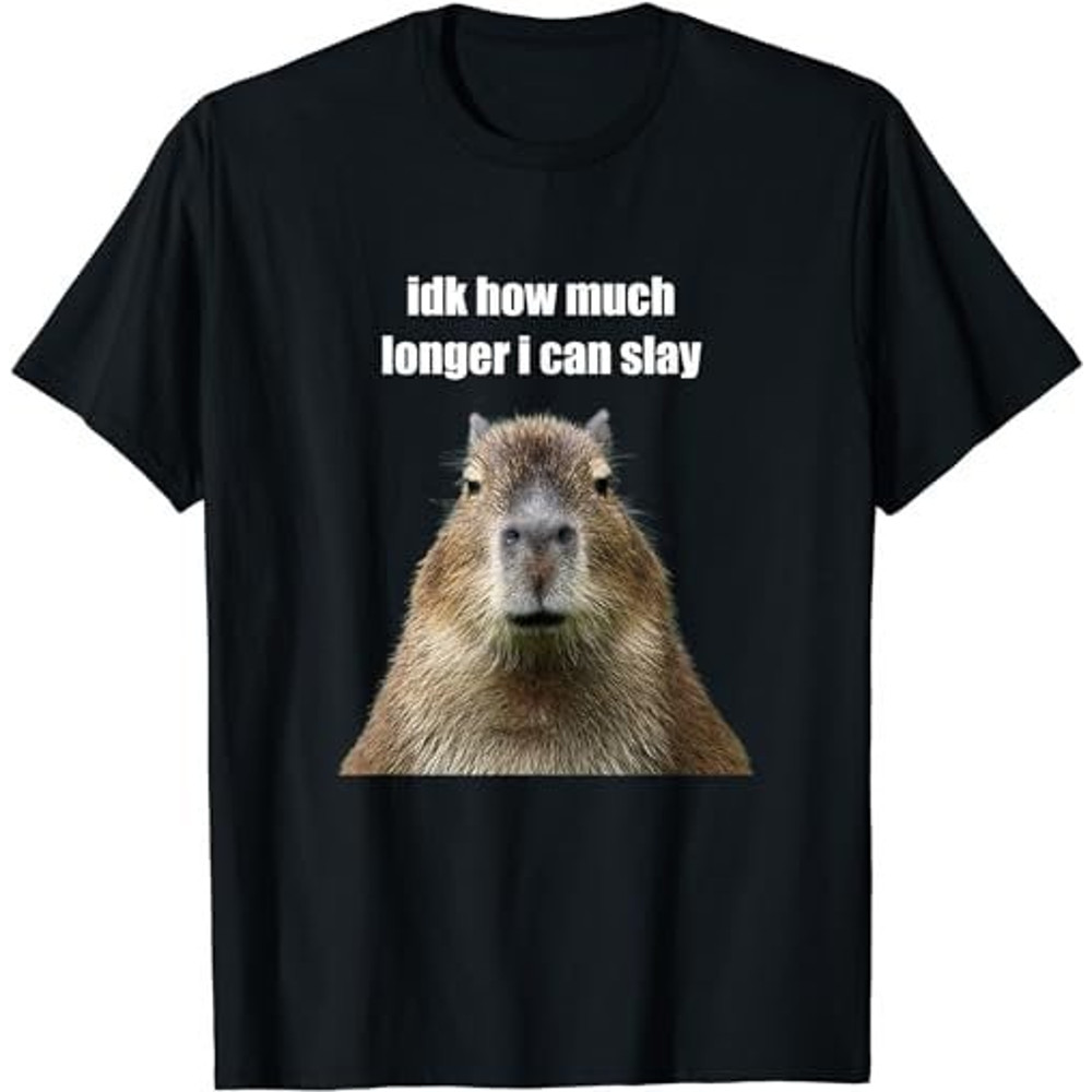 Funny Meme Idk How Much Longer I Can Slay Sarcastic Capybara  T-Shirt, Sweatshirt, Hoodie - 35738.jpg