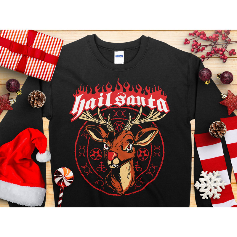 HAIL SANTA REINDEER Christmas Jumper Sweater Mens & Women's Novelty Funny Christmas Sweatshirt Jumper Present Gift Fun Print Christmas Day.jpg