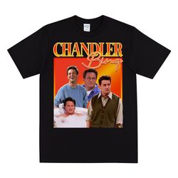 chandler from friends homage t-shirt, 2000s y2k inspired t shirt, vintage 90s style top, quality cotton shirt, could it