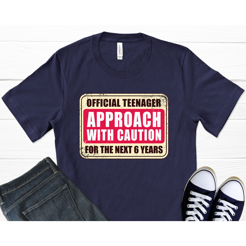 Official Teenager T-Shirt, 13th Birthday Shirt, Retro Shirt, Teenager Gifts, 13 Years Old, Graphic T-Shirt.jpg