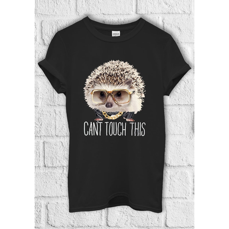 Hedgehog Can Not Touch This T Shirt Hoodie Sweatshirt Baseball Pullover Men Women Unisex Baggy Boyfriend Shirt 1240.jpg