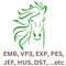 Horse Embroidery With All Files 0