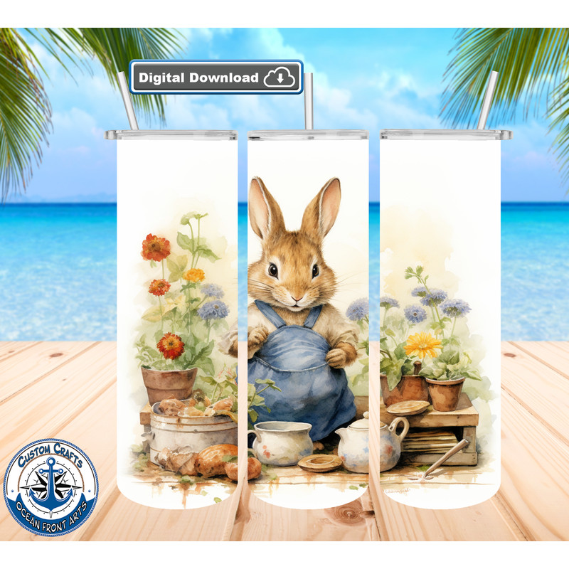 peter rabbit 10 mu.png