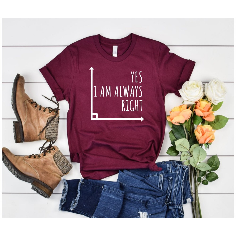 Math Shirt Math Teacher Shirt Funny math teacher shirt Mathematics Shirt Math Puns Math Teacher Gift Engineer Shirt Math Humor engineer 1.jpg