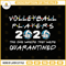 Vollley ball Players 2020 The One Where They Were Quarantined Funny Volley Kids League Silhouette SVG.jpg