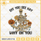 Skeleton Eff You See Kay Why Oh You Pumpkin Halloween PNG File Designs.jpg