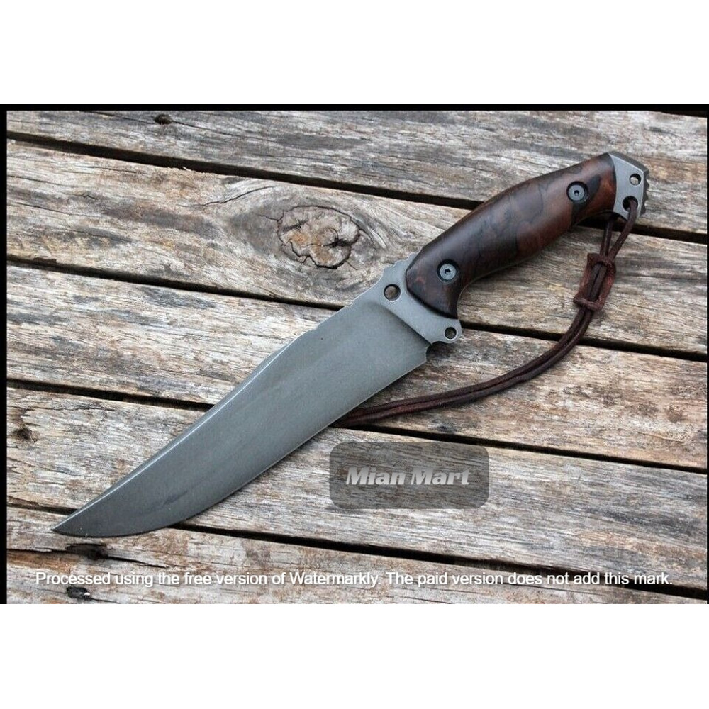 WhatsApp Image 2024-01-22 at 5.58.01 PM.jpeg