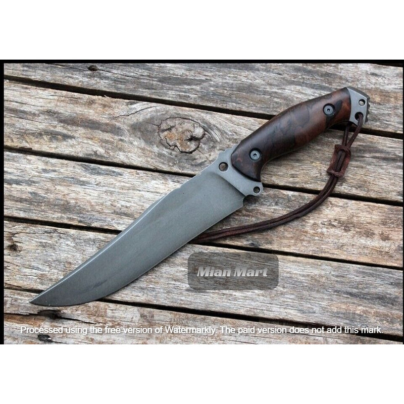 WhatsApp Image 2024-01-22 at 5.58.01 PM.jpeg