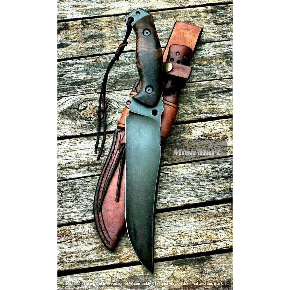 WhatsApp Image 2024-01-22 at 5.58.01 PM (2).jpeg