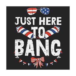 just here to bang 4th of july funny fireworks patriotic svg, independence svg, independent party, parade svg, firework s