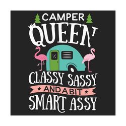 camper queen classy sassy and a bit assy svg, trending svg, camper queen svg, camping girl svg, camping svg, flamingo sv