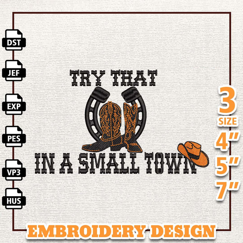 Try That In A Small Town Embroidery File, Jason Aldean Embroidery Design, Country Music Embroidery File, Instant Downloa.jpg