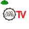Alto Cartel TV Embroidery logo for Polo Shirt..jpg