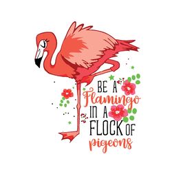 flamingo svg, be a flamingo in a flock of pigeons svg, summer svg, flamingo vector, funny flamingo svg, flamingo design,