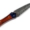 Damascus Hunting Knife.jpg