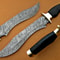 Damascus Bowie Knifejpg