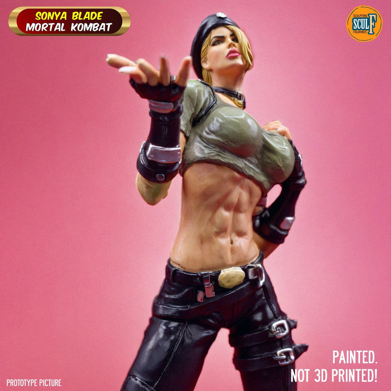 Statue Figure Figurine 16 Sonya Blade Mortal Kombat DC 4