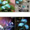 LED Artificial Flower Lights Solar Hydrangea Lights With 3 Heads For Outdoor Yard Garden Lawn Fence 4