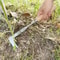Durable Blade Weed Removal Ergonomic Manual Tool For Cracks Upgraded Carbon Steel Weeder For Lawns 0