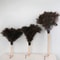 Ostrich Feather Brush Wooden Hand Car Clean Duster Cleaner For Dust Removal Household Use 1