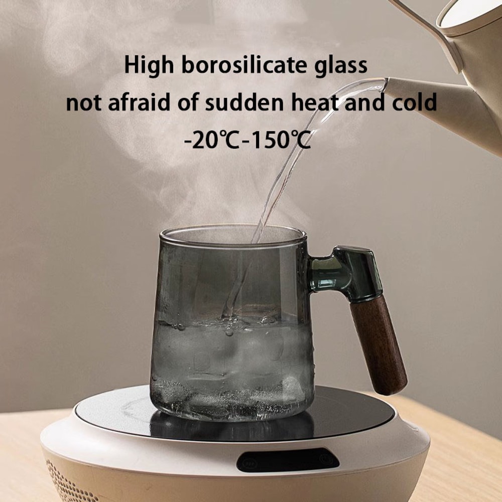 Borosilicate Glass Tea Cup With Infuser Steeper And Lid For Loose Leaf Tea Filter Mug Wood Handle F 3