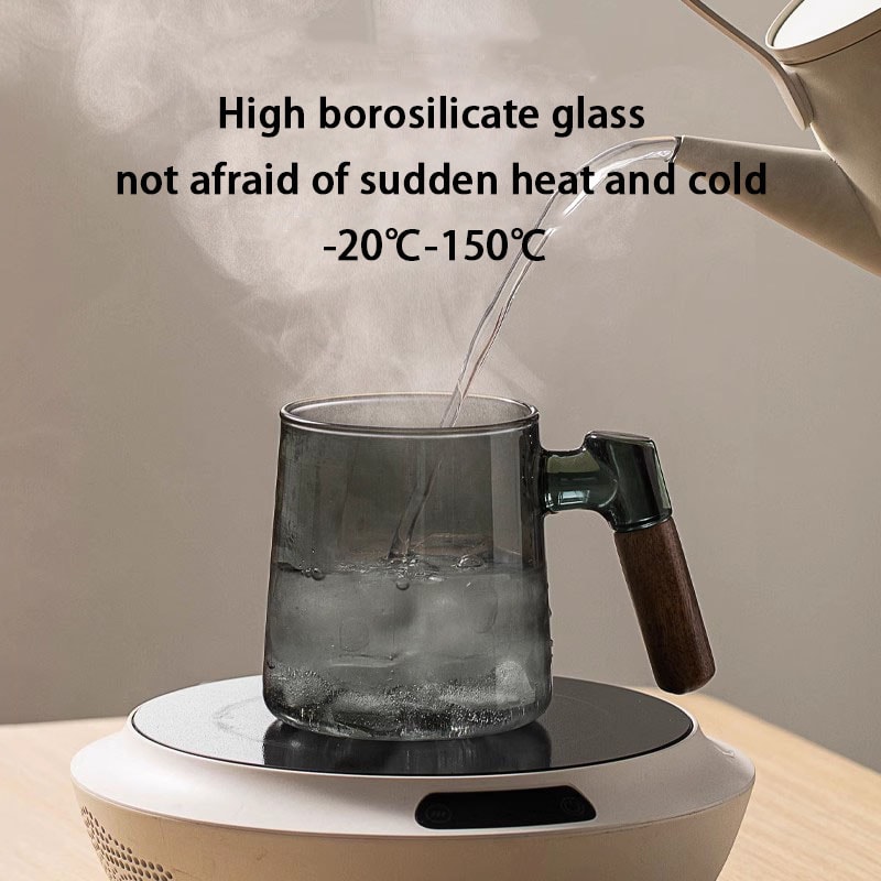 Borosilicate Glass Tea Cup With Infuser Steeper And Lid For Loose Leaf Tea Filter Mug Wood Handle F 3