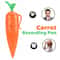 Novelty Carrot Voice Recorder Pen Can Write Graffiti Ballpoint Electronic Sound Toy Gift 2