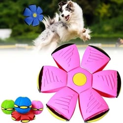 fun elastic dog pet toy flying saucer bouncing ball for outdoor exercise
