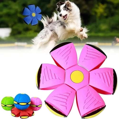Fun Elastic Dog Pet Toy Flying Saucer Bouncing Ball for Outdoor Exercise