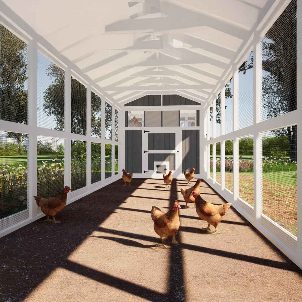 DIY Hen House for Chickens, Large Chicken Coop Plans with 24ft Run