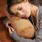 Adorable Large Capybara Backrest Cushion Triangle Lumbar Support Pillow Comfortable Reading Pillow 2