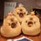 Cartoon Capibara Cushion Capybara Sleeping Pillow Office Chair Backrest Sofa Decor Gift 4