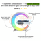 Smart WakeUp Light Alarm Clock With Speaker Wireless Charger Gentle Mornings Made Easy 2