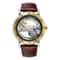 Automatic Mechanical Mens Watch, Mechanical Wristwatches Watches for Man, Watches Golden Bridge Skeleton